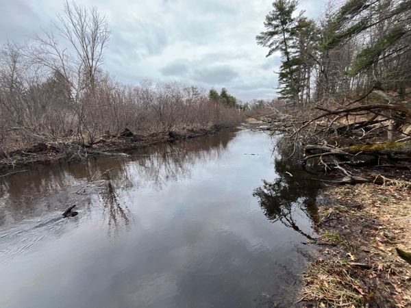 TBD Ten Mile Drive , Chetek, WI 54757