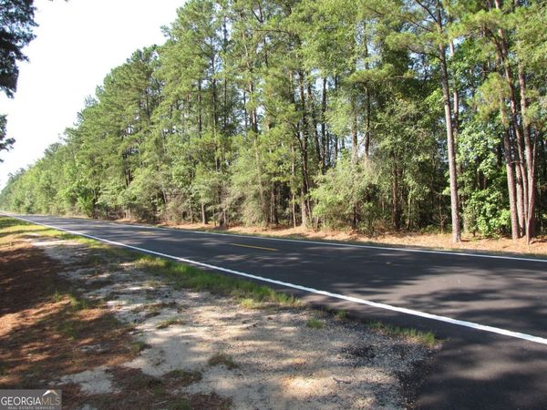 0 Hwy 17, Newington, GA 30446