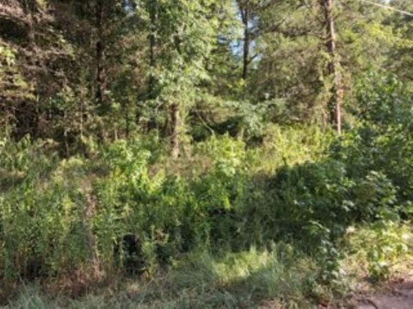000 Dogwood Drive , Murchison, TX 75778