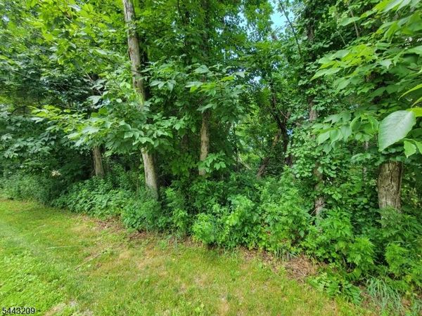 104 Armstrong Rd, Montague, NJ 07827