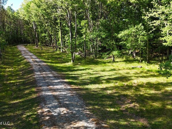 358 Robinson Springs Rd Road, Flora, MS 39071