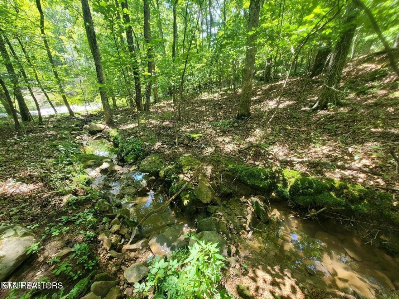 159 Sugarbush Circle , Lot #351, Crossville, TN 38558 Main Photo