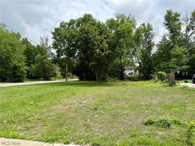 3313 E 126th Street, Cleveland, OH 44120 Photo 2