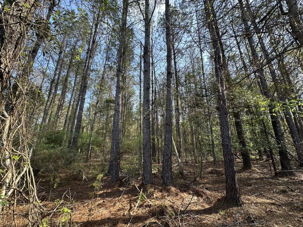 .83+/- ac Lett Road, Other, AL 00000