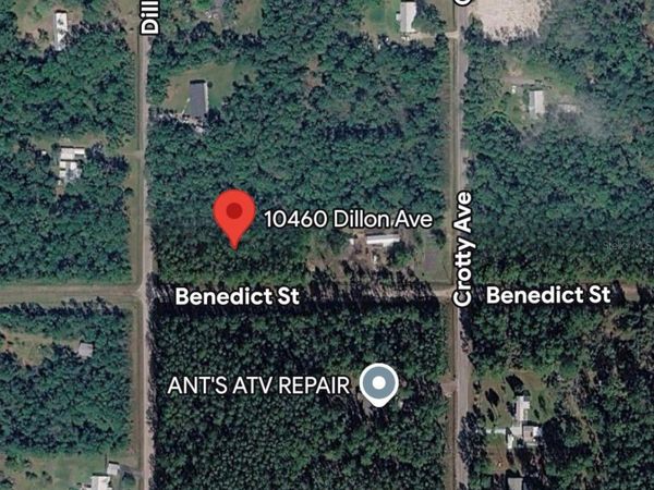 10460 DILLON AVENUE , HASTINGS, FL 32145