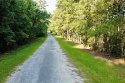 1 Weathers Farm Road photo 4