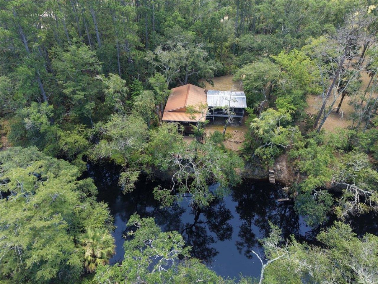 10825 Aucilla River Estates Road, Lamont, FL 32336 Photo