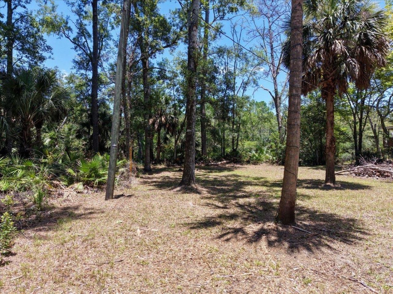 10825 Aucilla River Estates Road, Lamont, FL 32336 Photo