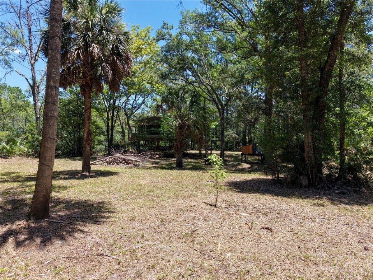 10825 Aucilla River Estates Road, Lamont, FL 32336 Photo