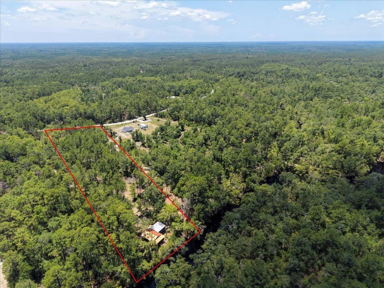 10825 Aucilla River Estates Road, Lamont, FL 32336 Photo