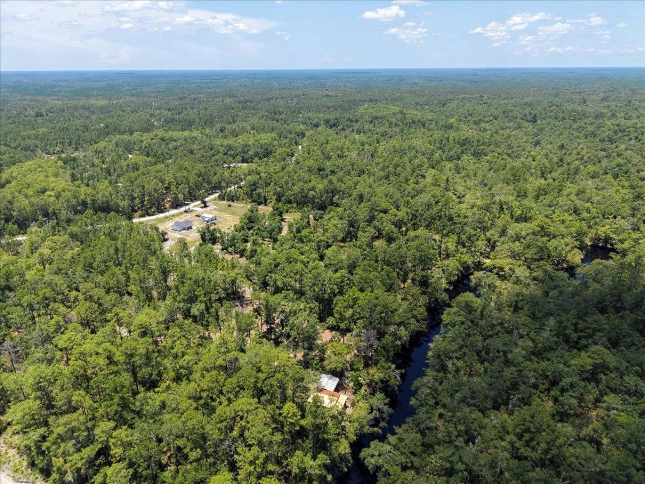 10825 Aucilla River Estates Road, Lamont, FL 32336 Photo