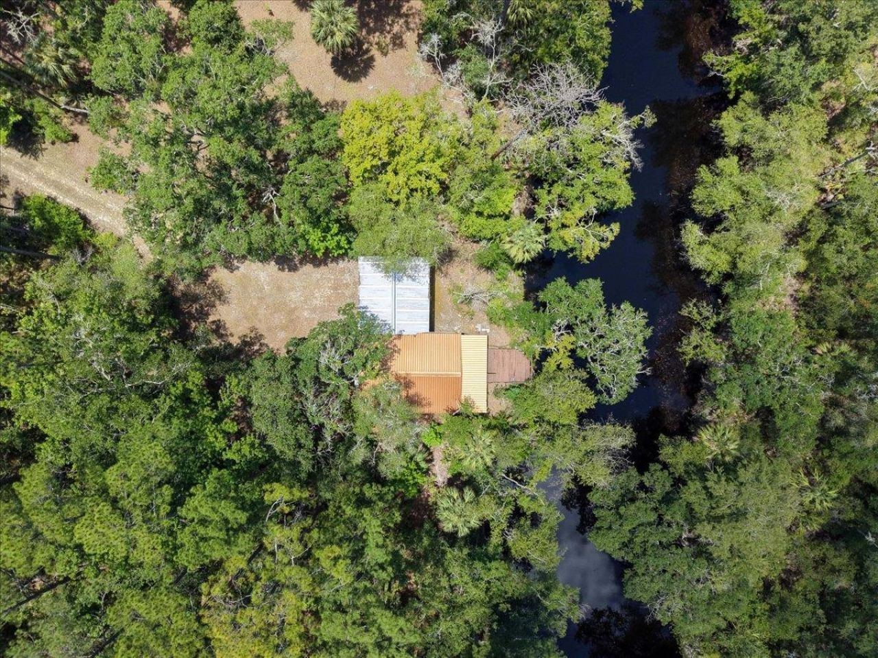 10825 Aucilla River Estates Road, Lamont, FL 32336 Photo