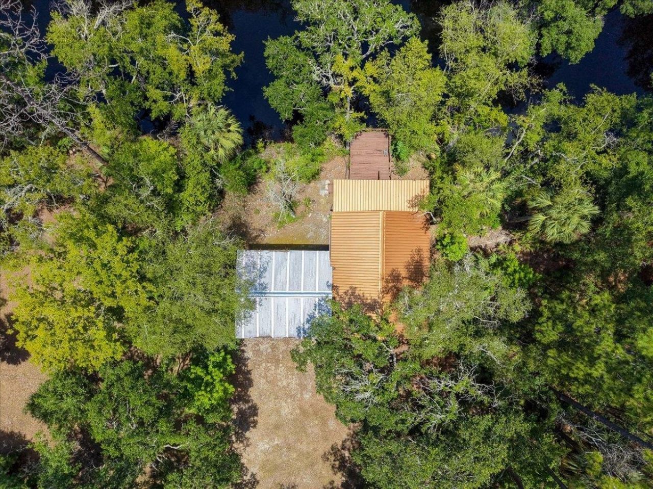 10825 Aucilla River Estates Road, Lamont, FL 32336 Photo