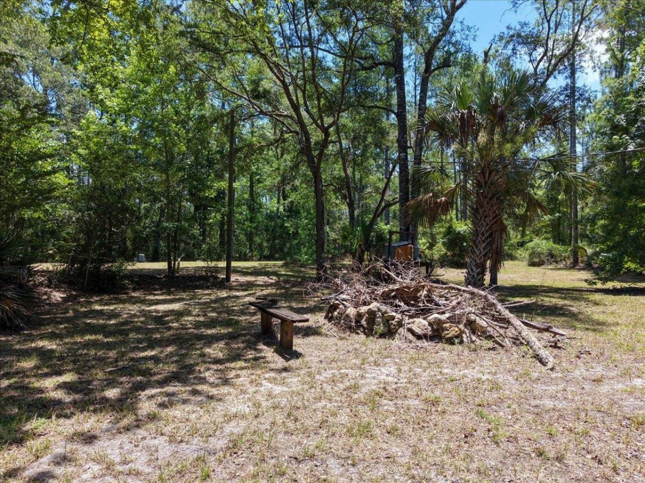 10825 Aucilla River Estates Road, Lamont, FL 32336 Photo