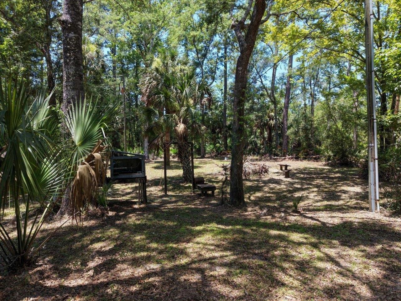10825 Aucilla River Estates Road, Lamont, FL 32336 Photo