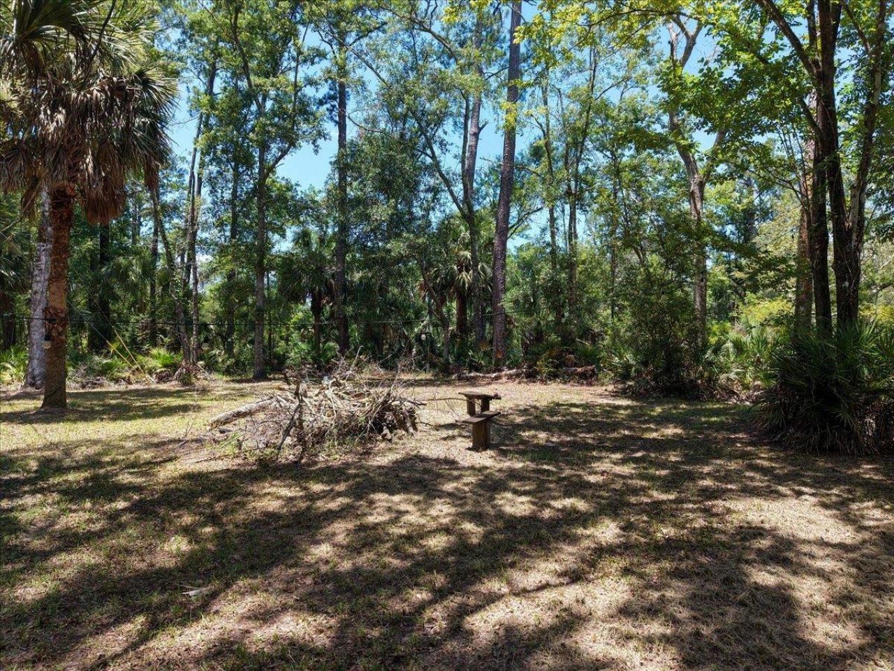 10825 Aucilla River Estates Road, Lamont, FL 32336 Photo