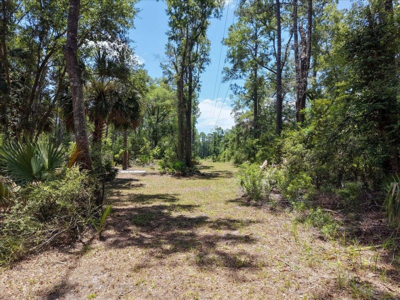 10825 Aucilla River Estates Road, Lamont, FL 32336 Photo