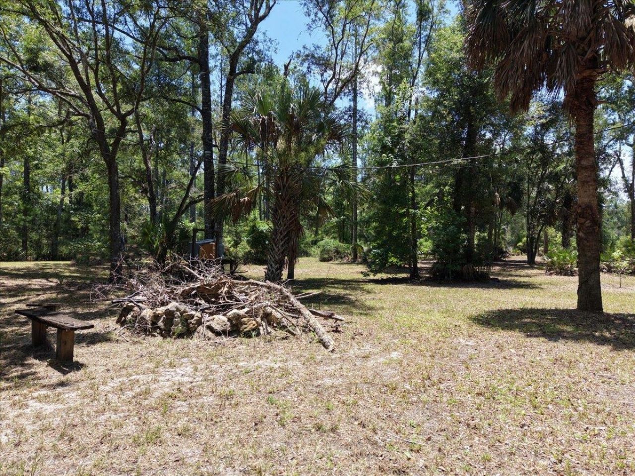 10825 Aucilla River Estates Road, Lamont, FL 32336 Photo
