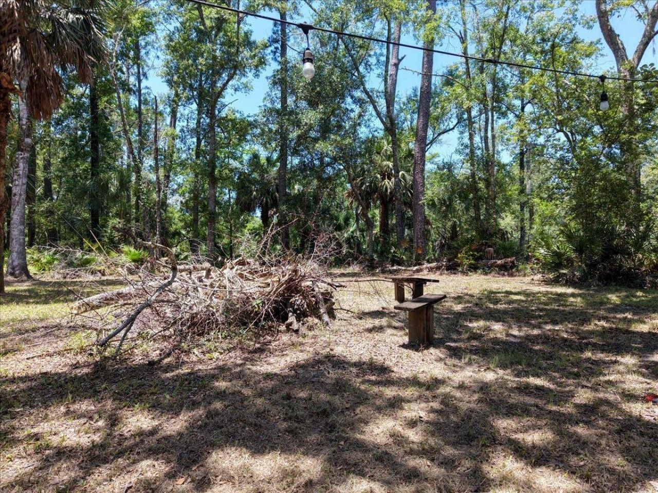 10825 Aucilla River Estates Road, Lamont, FL 32336 Photo