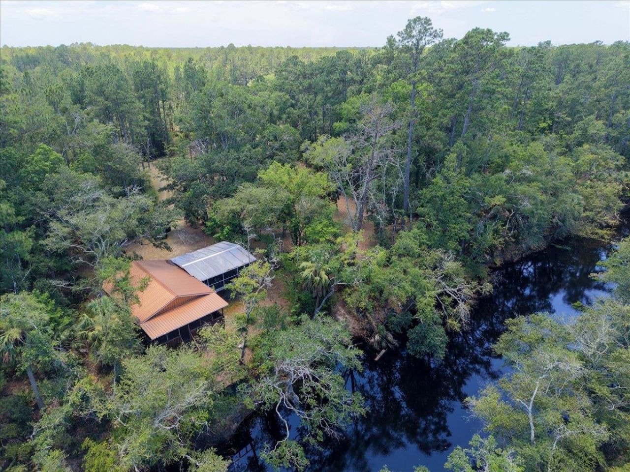 10825 Aucilla River Estates Road, Lamont, FL 32336 Photo