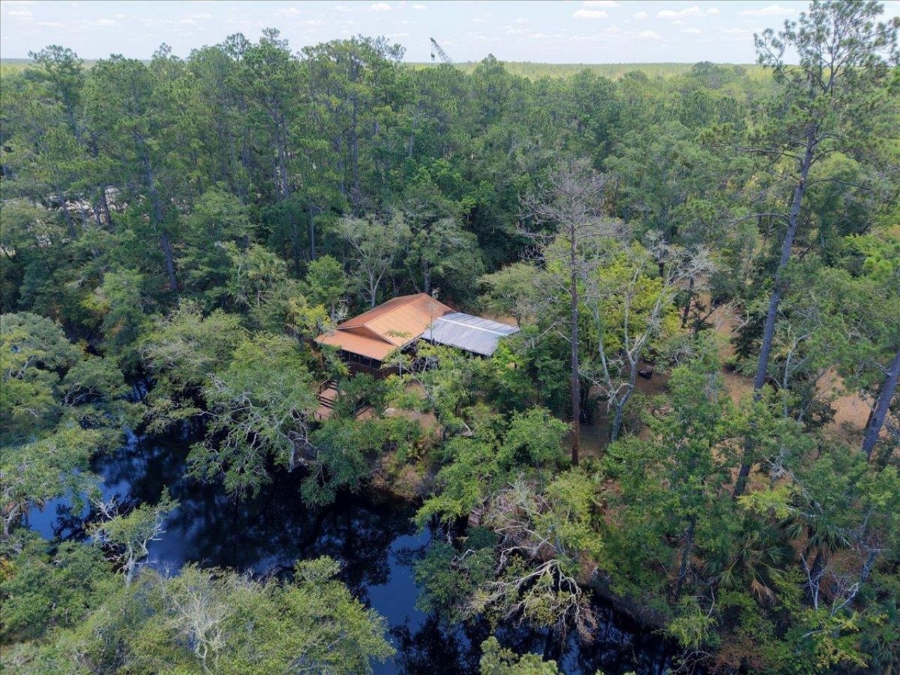 10825 Aucilla River Estates Road, Lamont, FL 32336 Photo