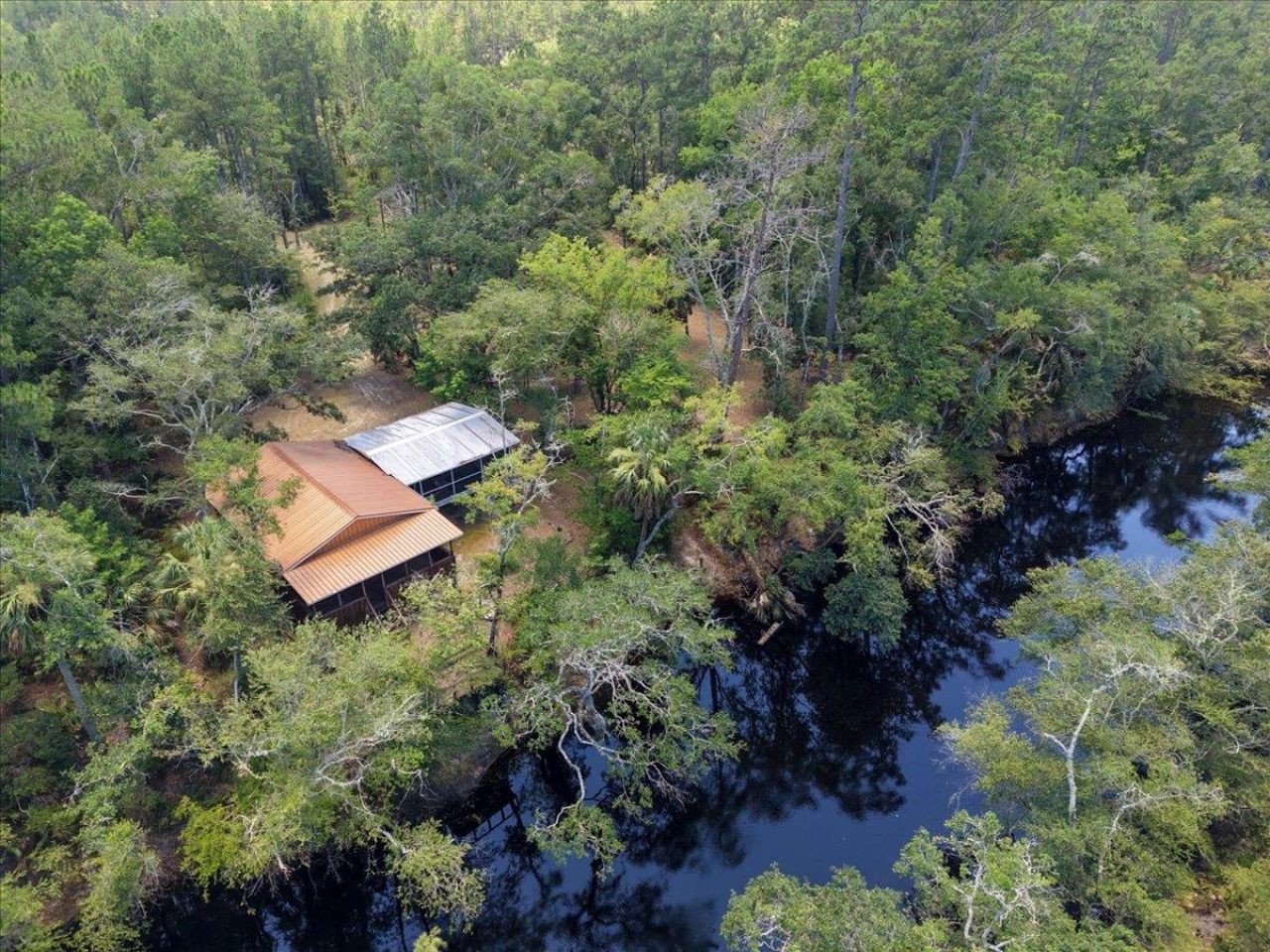 10825 Aucilla River Estates Road, Lamont, FL 32336 Photo