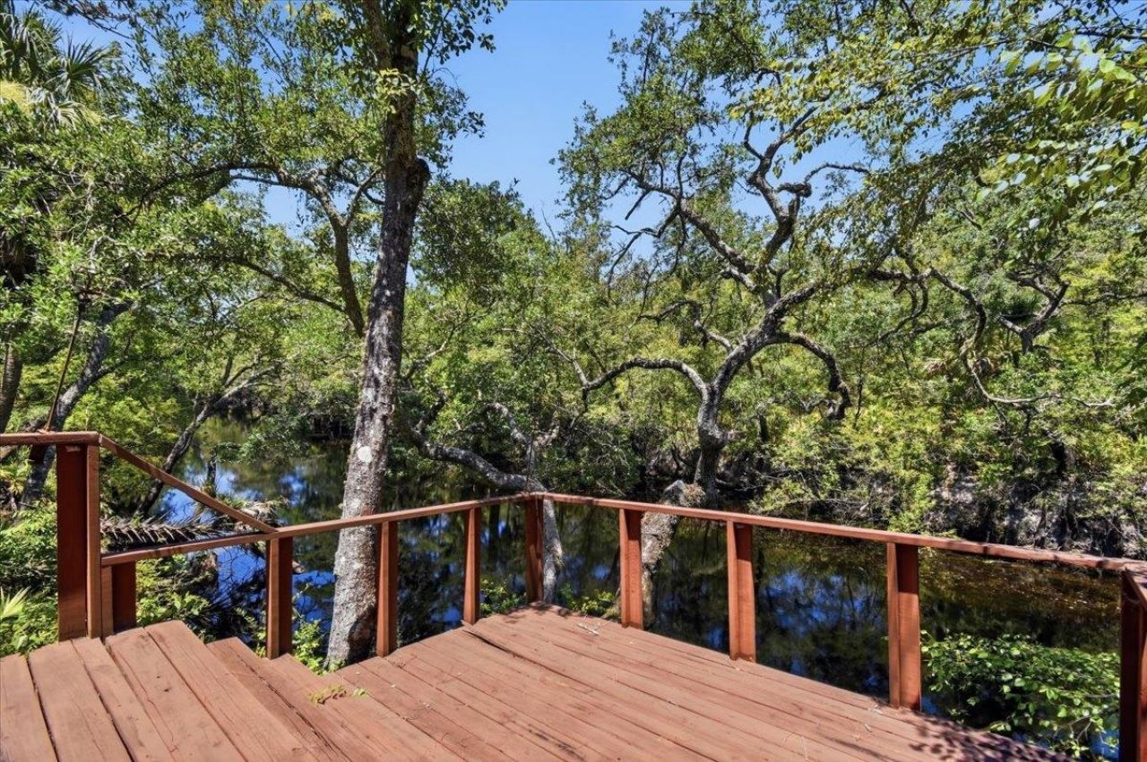 10825 Aucilla River Estates Road, Lamont, FL 32336 Photo