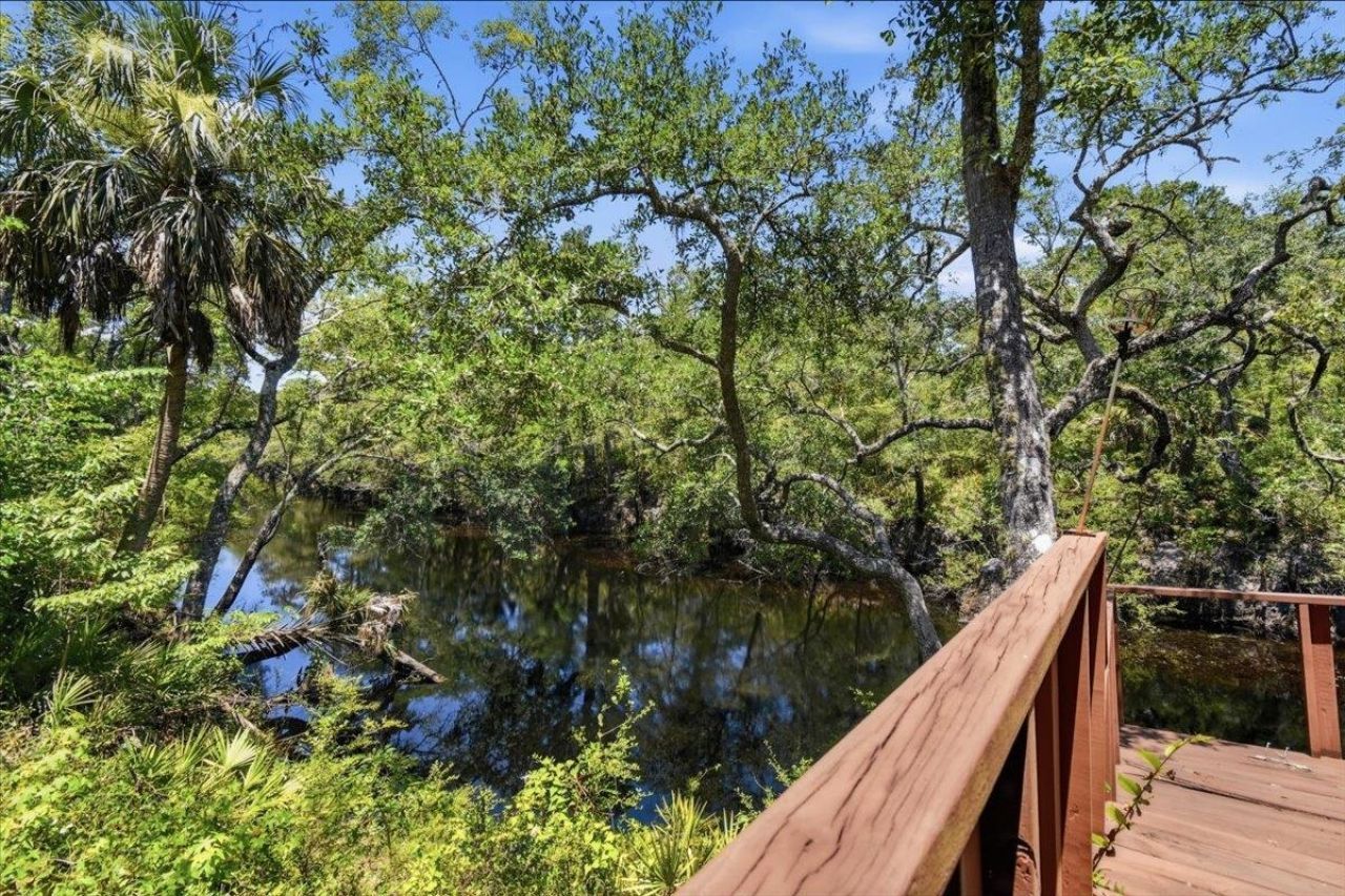 10825 Aucilla River Estates Road, Lamont, FL 32336 Photo