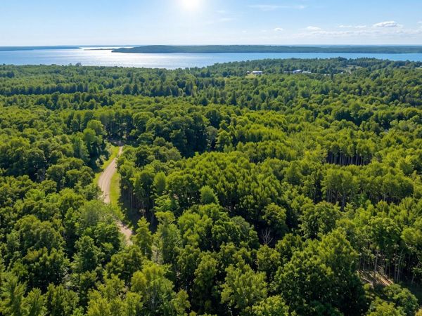 TBD Lot 2 , Walker, MN 56484