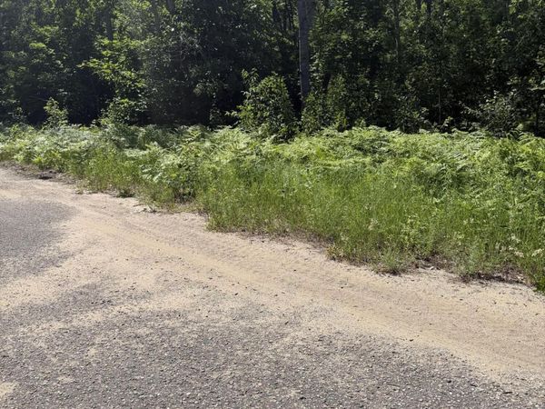 Lot 73 Northover Circle Road, Mancelona, MI 49659