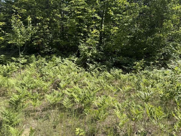Lot 64 Northover Circle Road, Mancelona, MI 49659