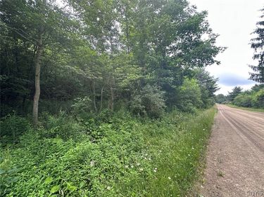 Flat Iron Road, Hunt, NY 14846
