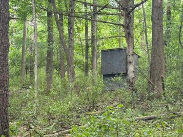 Flat Iron Road, Hunt, NY 14846