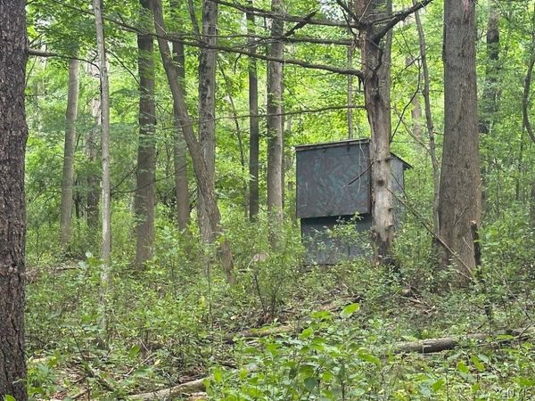 Flat Iron Road , Hunt, NY 14846