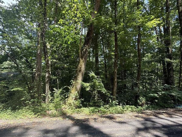 LOT 3 Kristi Lane, Grant, AL 35747