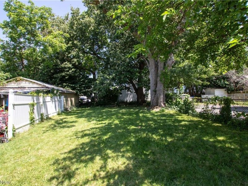 2185 W 105th Street, Cleveland, OH 44102 Photo 6