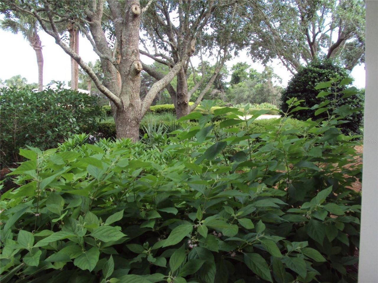 101 Sand Oak Boulevard , Panama City Beach, FL 32413 Photo
