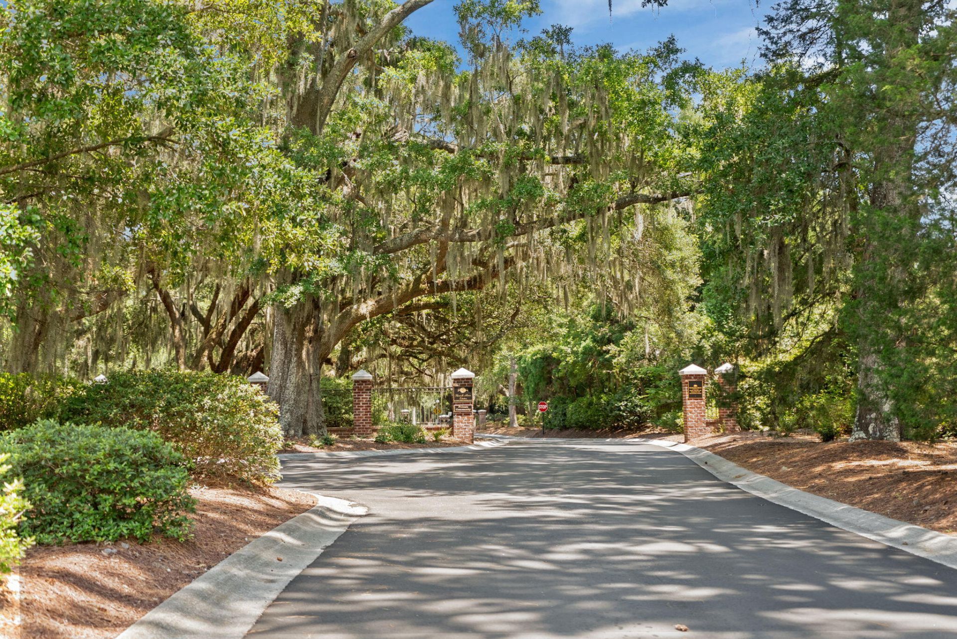 2842 Maritime Forest Drive Photo 56