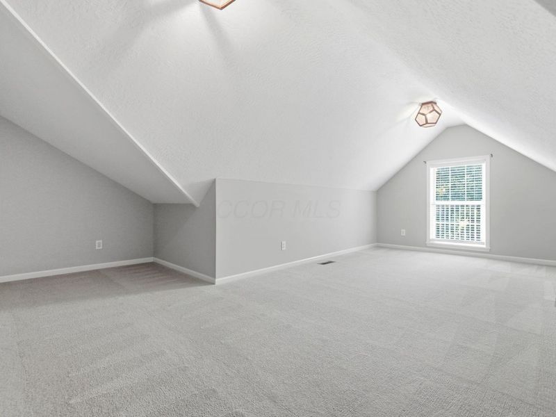 10201 Galena Pointe, Galena, OH 43021 Photo 59