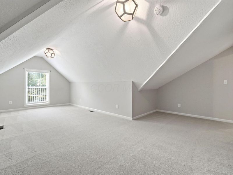 10201 Galena Pointe, Galena, OH 43021 Photo 61