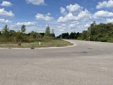 Vacant Land Grand River Avenue, Handy Twp, MI 48836
