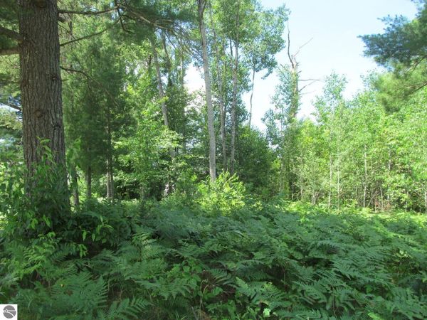 63 White Pine Drive, Cadillac, MI 49601