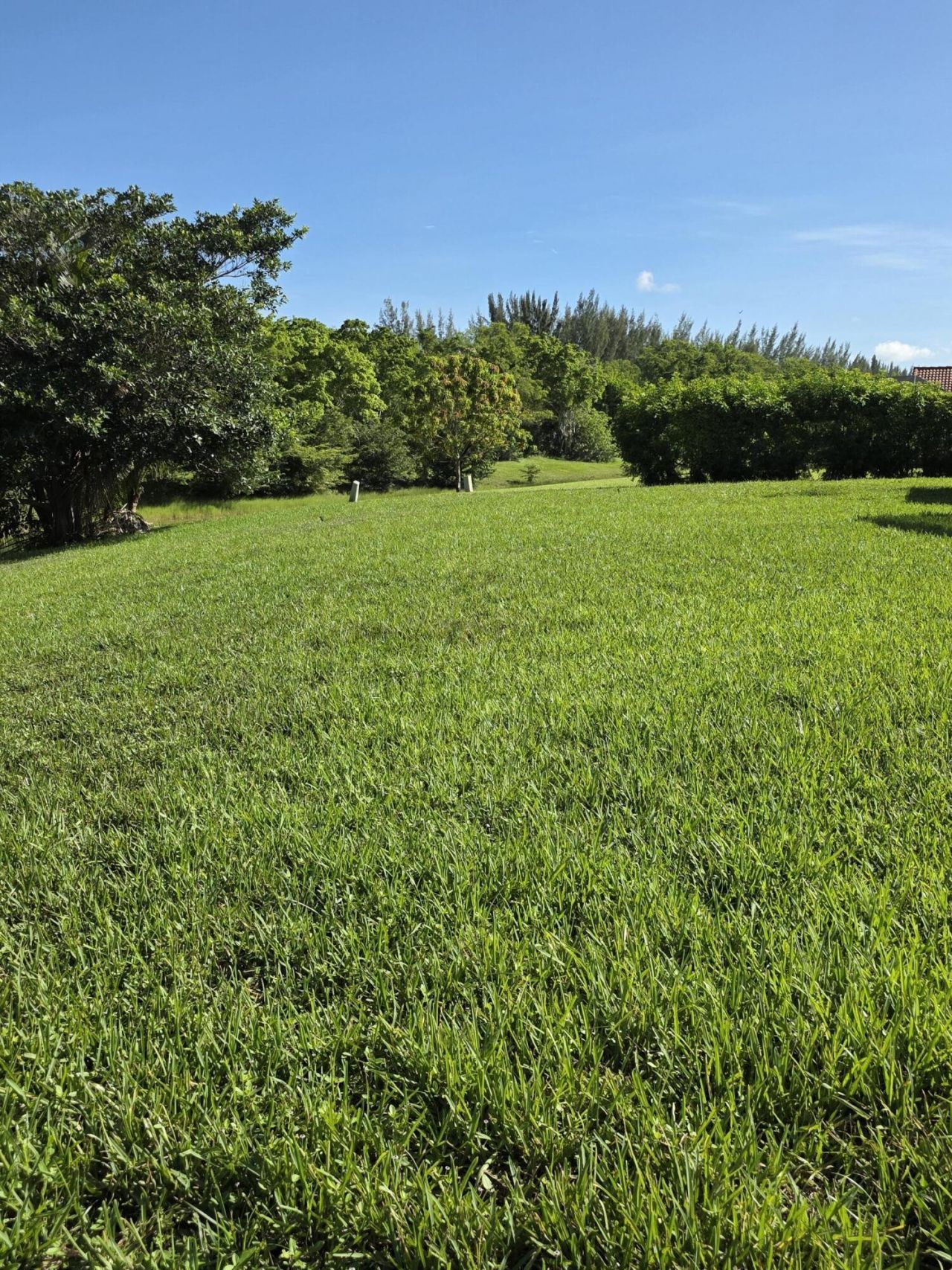 11630 Island Lakes Lane, Boca Raton, FL 33498 Photo
