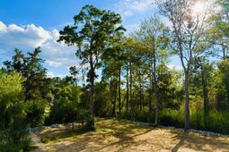 67 Ricefield Pl.  photo 4