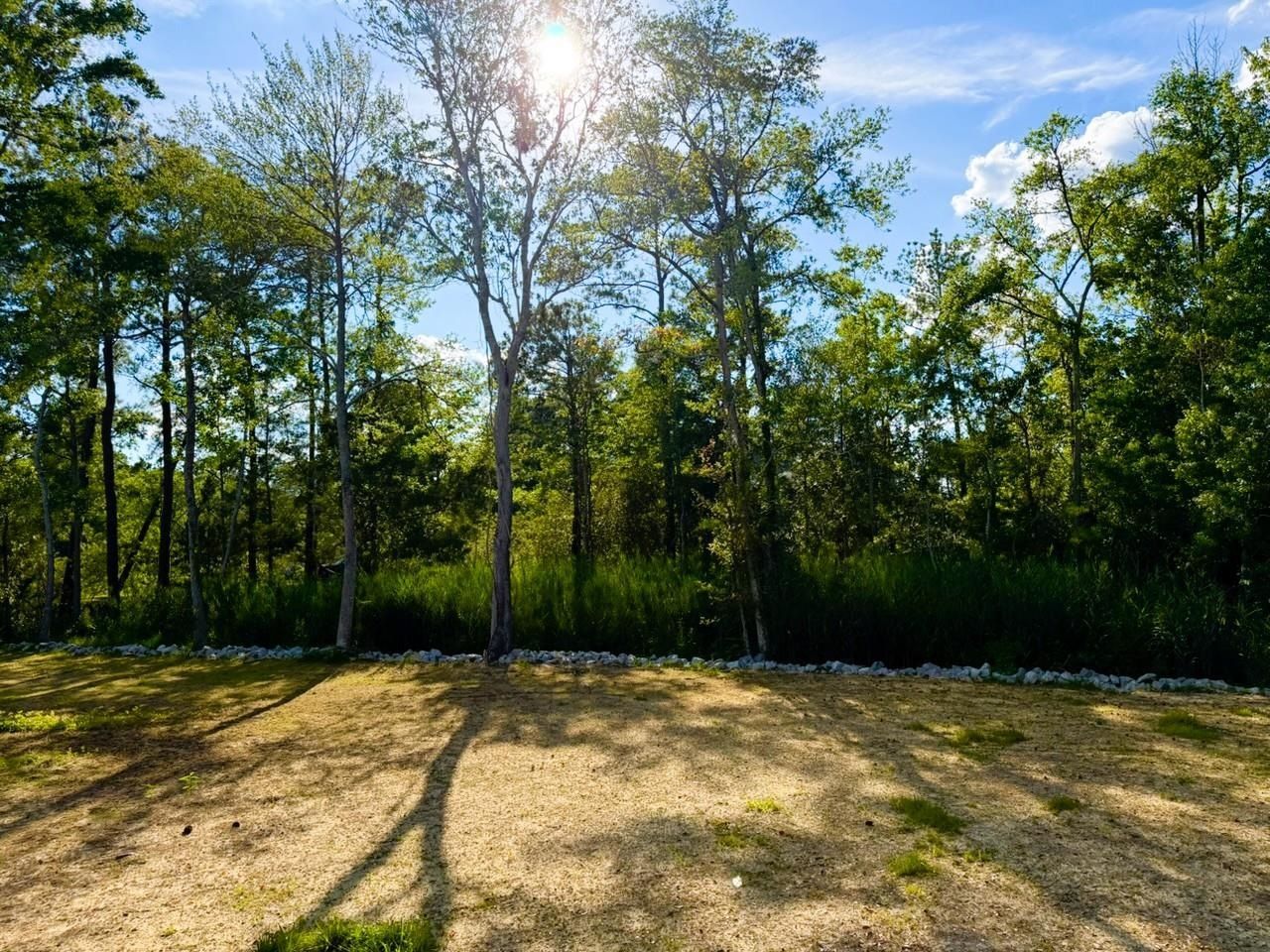 67 Ricefield Pl.  Photo 28