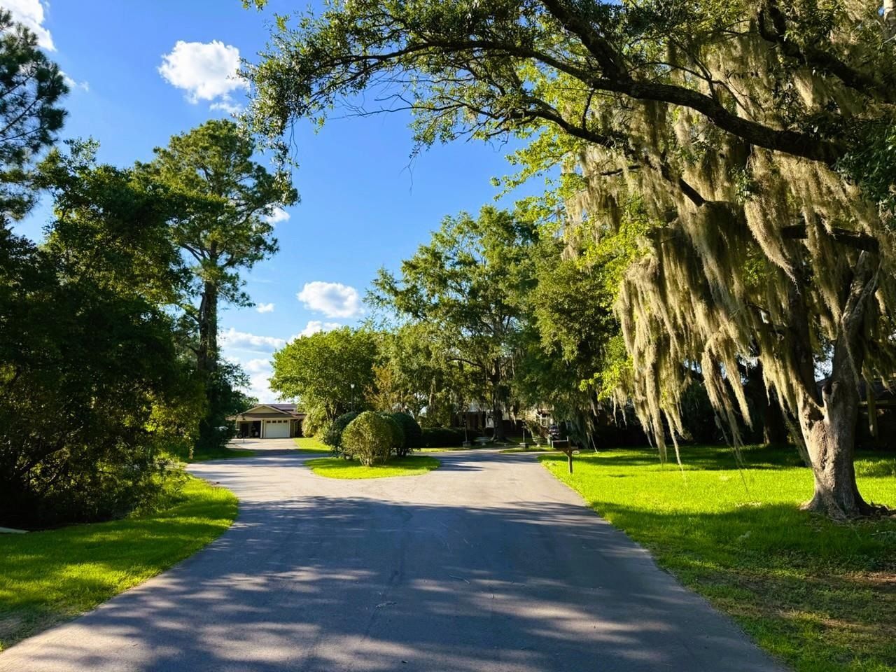 67 Ricefield Pl.  Photo 30