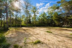 67 Ricefield Pl.  photo 4