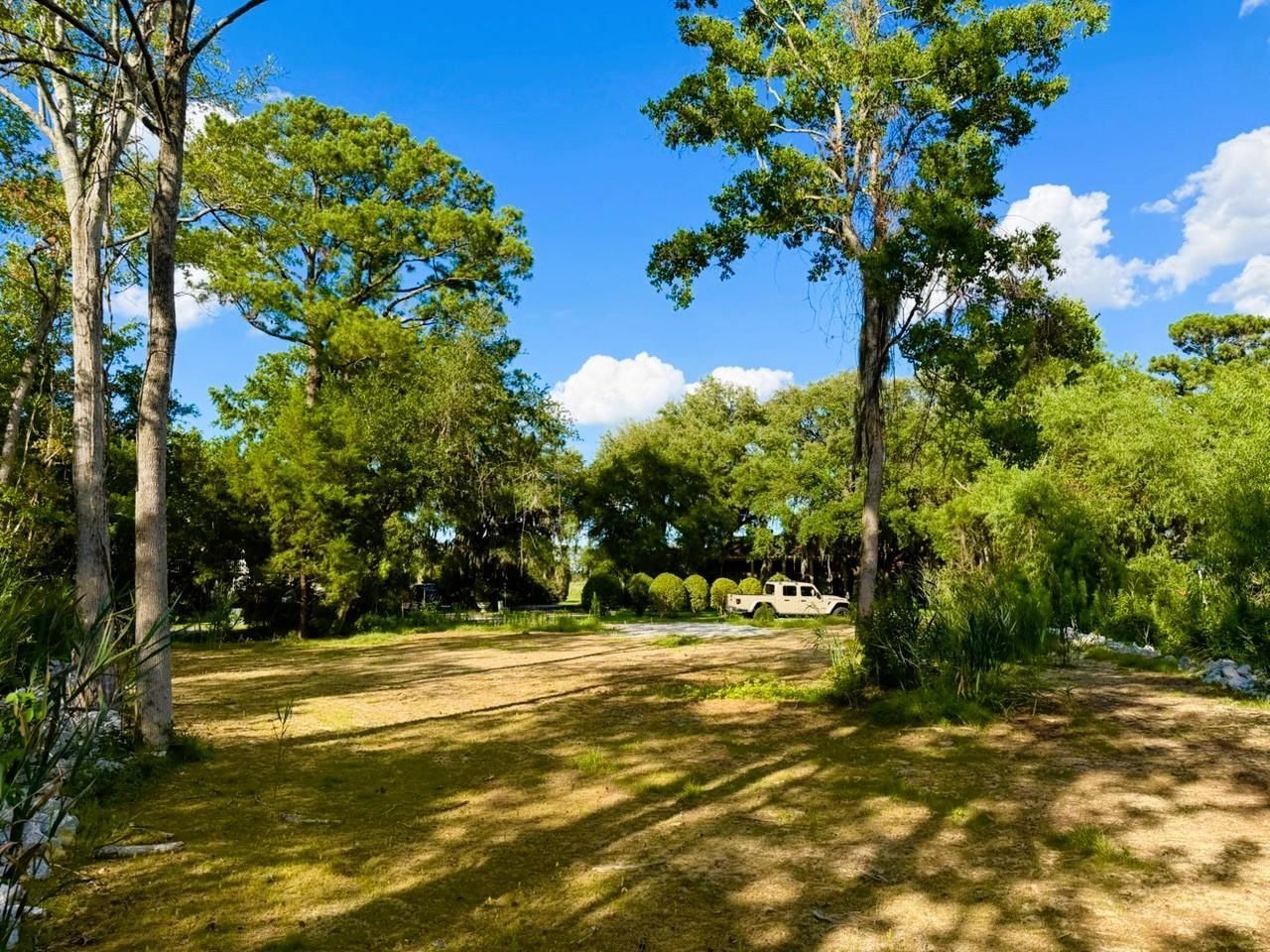 67 Ricefield Pl.  Photo 8
