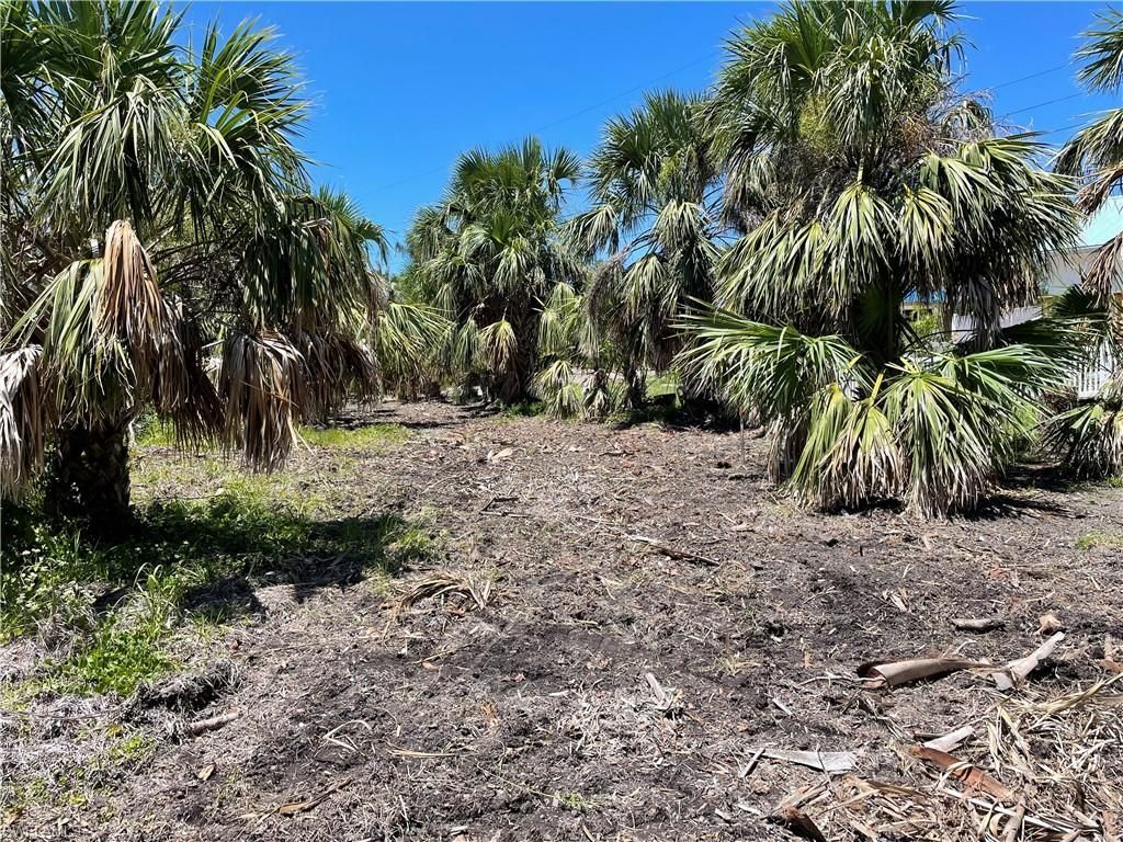575 Sea Oats Dr, Sanibel, FL 33957 Photo