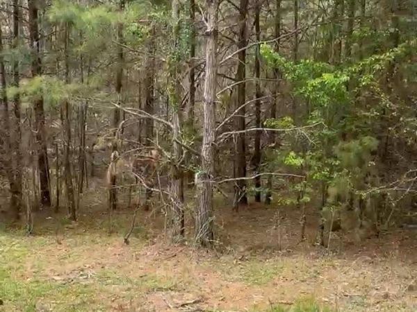 117 Church View Drive, Lawndale, NC 28090